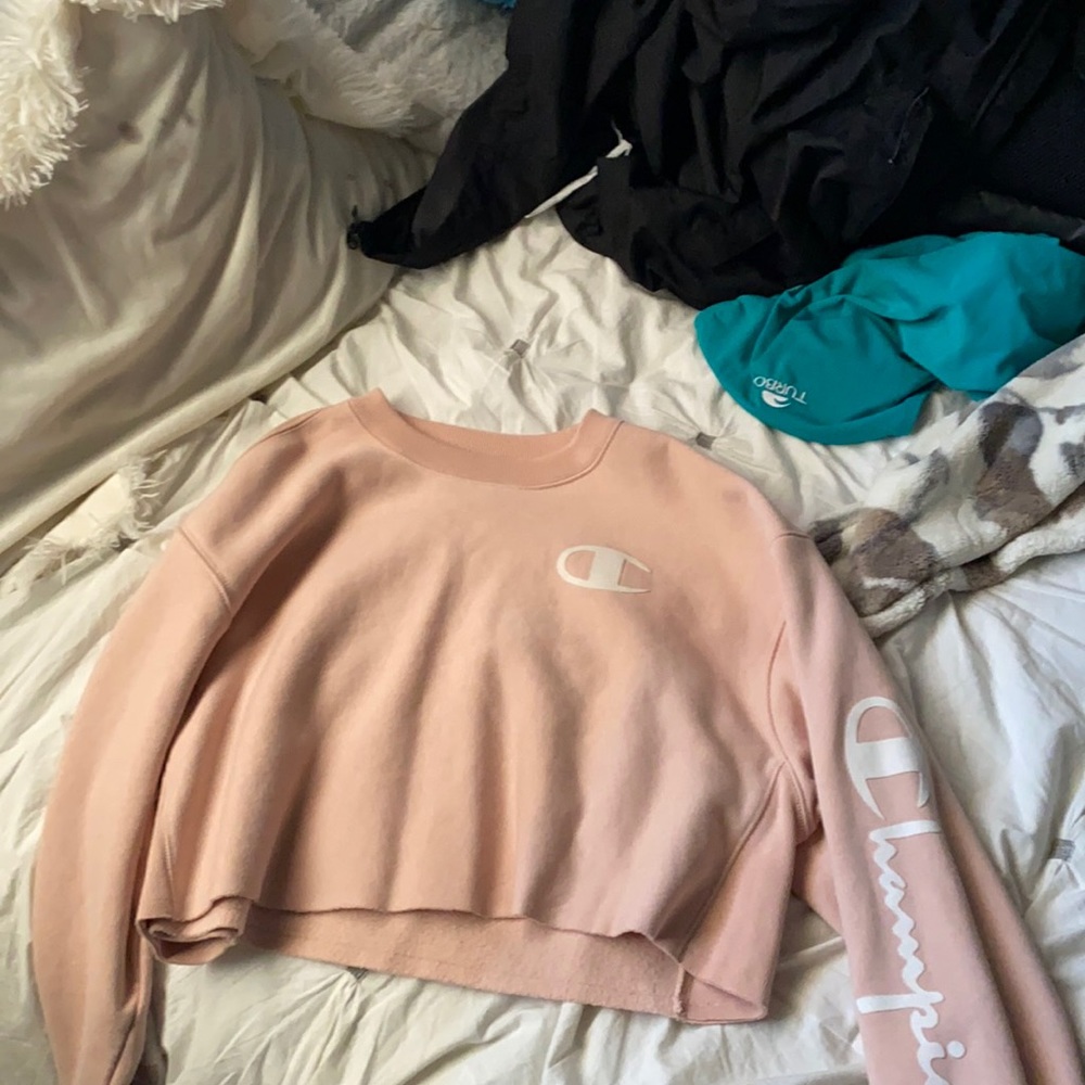 champion cropped sweater